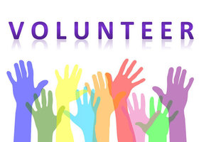 Volunteer Application Form Information