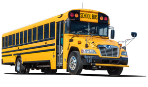 Bus Schedule Information