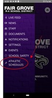 FG Athletic Schedules on the Internet